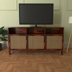 Silas Cane TV Unit — view 2