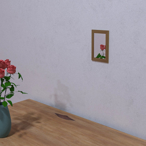 4x6 Classic Mirror Mirror