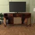 Silas Cane TV Unit — view 1
