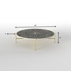Celine Metal Coffee Table — view 4