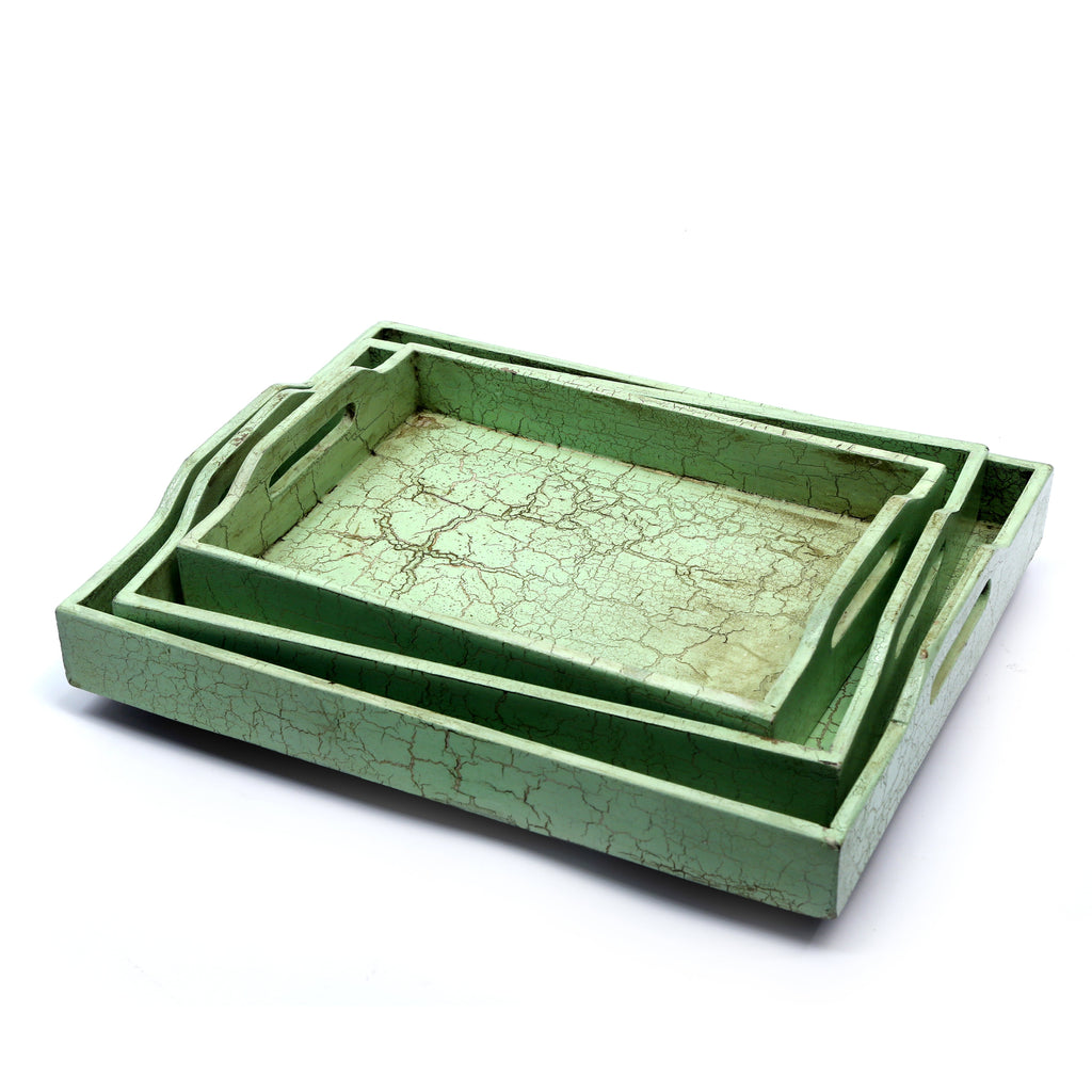 Gaia Distressed Green Serving Tray — view 6