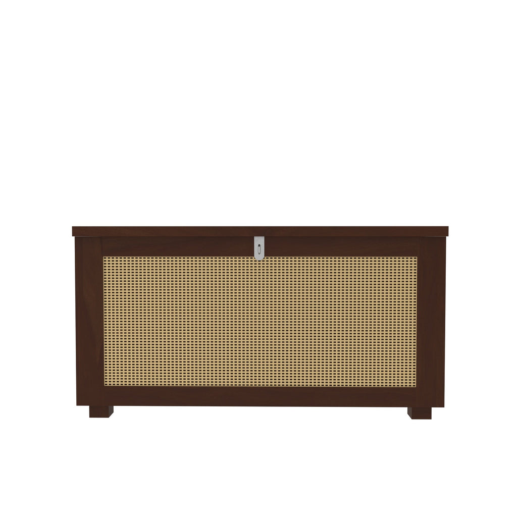Calista Cane Panelled Storage Cabinet — view 2