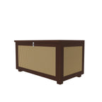 Calista Cane Panelled Storage Cabinet — view 3