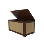Calista Cane Panelled Storage Cabinet — view 4