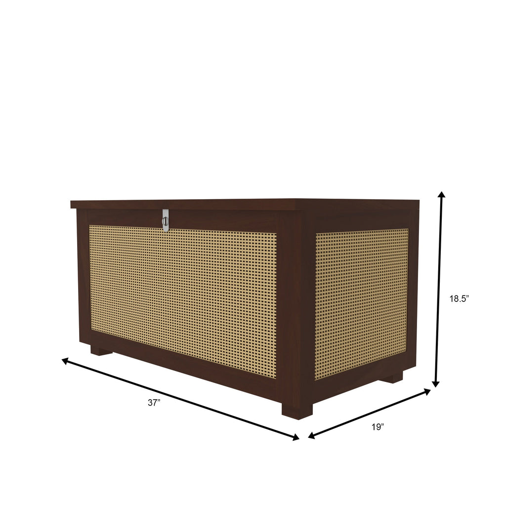 Calista Cane Panelled Storage Cabinet — view 5